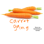 Carr0t Gang