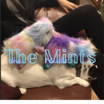 The Mints squad