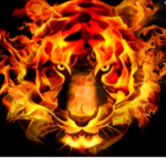 Strong_Tiger