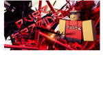Addicted ROBLOX Bros!!!!!!