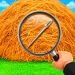 Find the Needle icon