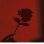 Crimson Roses Boutique