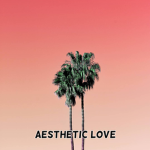 Aesthetic Love