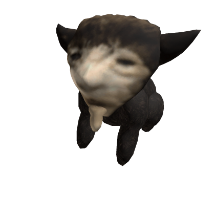 Milk Cat