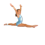 gymnastics101