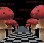 My little mushrooms. Dreamcore!