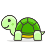 Mr. Turtle Studios