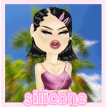 Silicone's Management