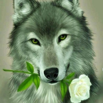 The Wolf fam xoxo