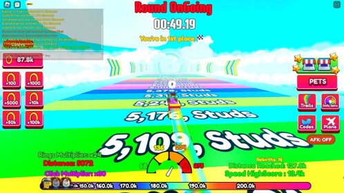 Plane Race