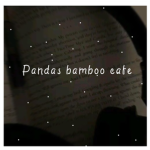 -Panda's Bamboo Cafe!-