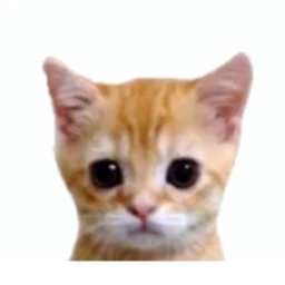 ไม่รู้ๆไม่เปิดๆ icon