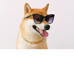 la facha