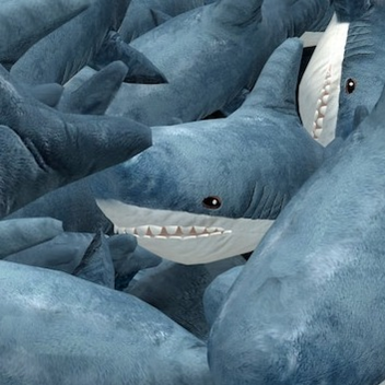 Easy BLÅHAJ Obby!🦈 (beta)