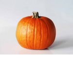 Pumpkin army official