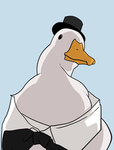 !The Coolest Duck Team!