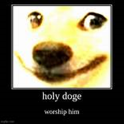 Doge Heaven
