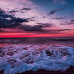 The high seas~