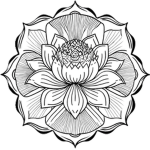 [House Spire] Trainee Division