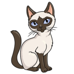 Siam Cat Group