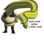 the shrek!!!!!!!!!!!!!!