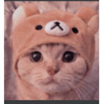 Roblox group lalala