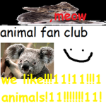 Animal Fan Club!!!