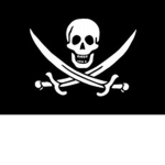 | The Space Pirates Of The Caribbean |