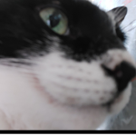 NVM,BTW