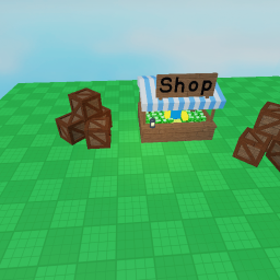 The Shop