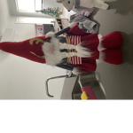 Max_luvschristmas