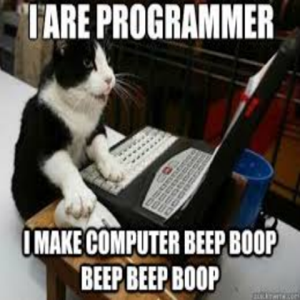 Kitty Coding Meme Roblox decal