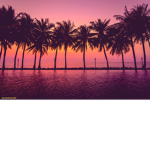 TEAM SUMMER FOREVER