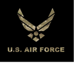 Pilot Training Flight Simulator Air Force/BA