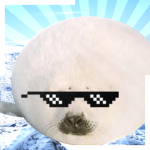 OPEN SEAL