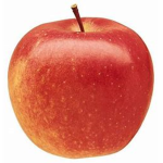 i like apple do u agree?