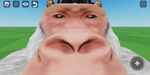 Monke group :0