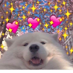 el grupo de el colegio Xd