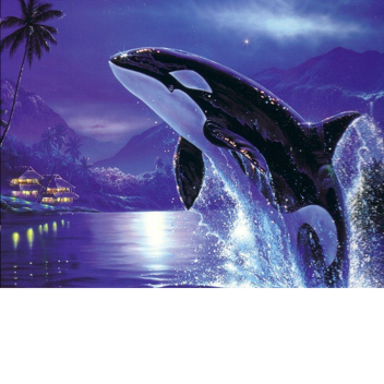 sea world beta