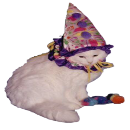 cute clown cat Roblox decal
