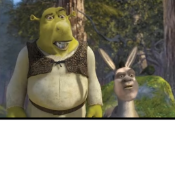 SHREK AREA 51