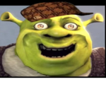 Turtle is like a gang