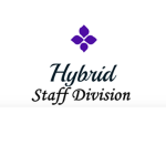 Hybird Skies Staff Division