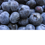 Seasonal BlueBerrys