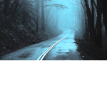 Cryptozoology Studies
