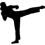 Karate Experts Clan