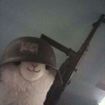 Alpaca Anti-Kid