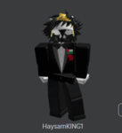 HaysamKING1 Group