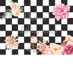 phoenix's clothing group