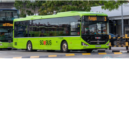 singapore bus testing
